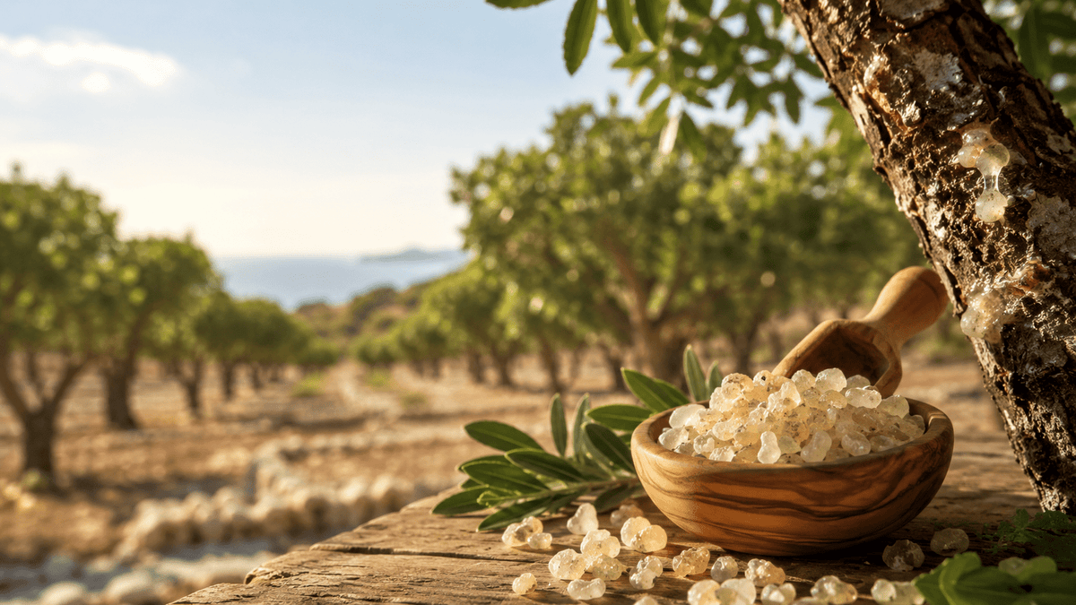 ΜΑΣΤΙΧΑ | ΓΙΑΤΙ ΠΡΕΠΕΙ ΝΑ ΚΑΤΑΝΑΛΩΝΟΥΜΕ ΣΥΧΝΑ ΤΗ ΜΑΣΤΙΧΑ - Avgerinos Pharmacy