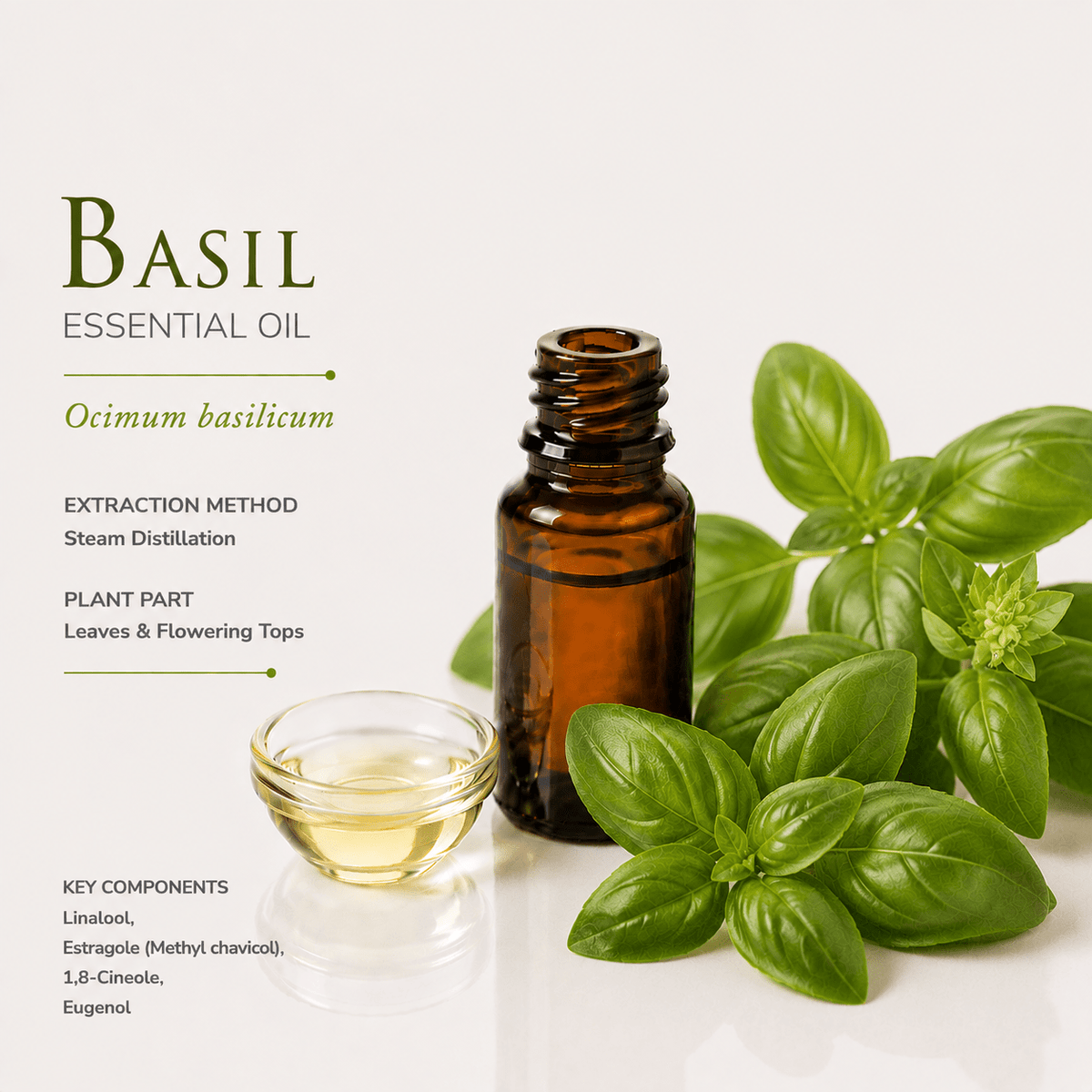 Αιθέριο έλαιο Βασιλικός (Basil), φαρμακευτικής & καλλυντικής χρήσης - Avgerinos Pharmacy