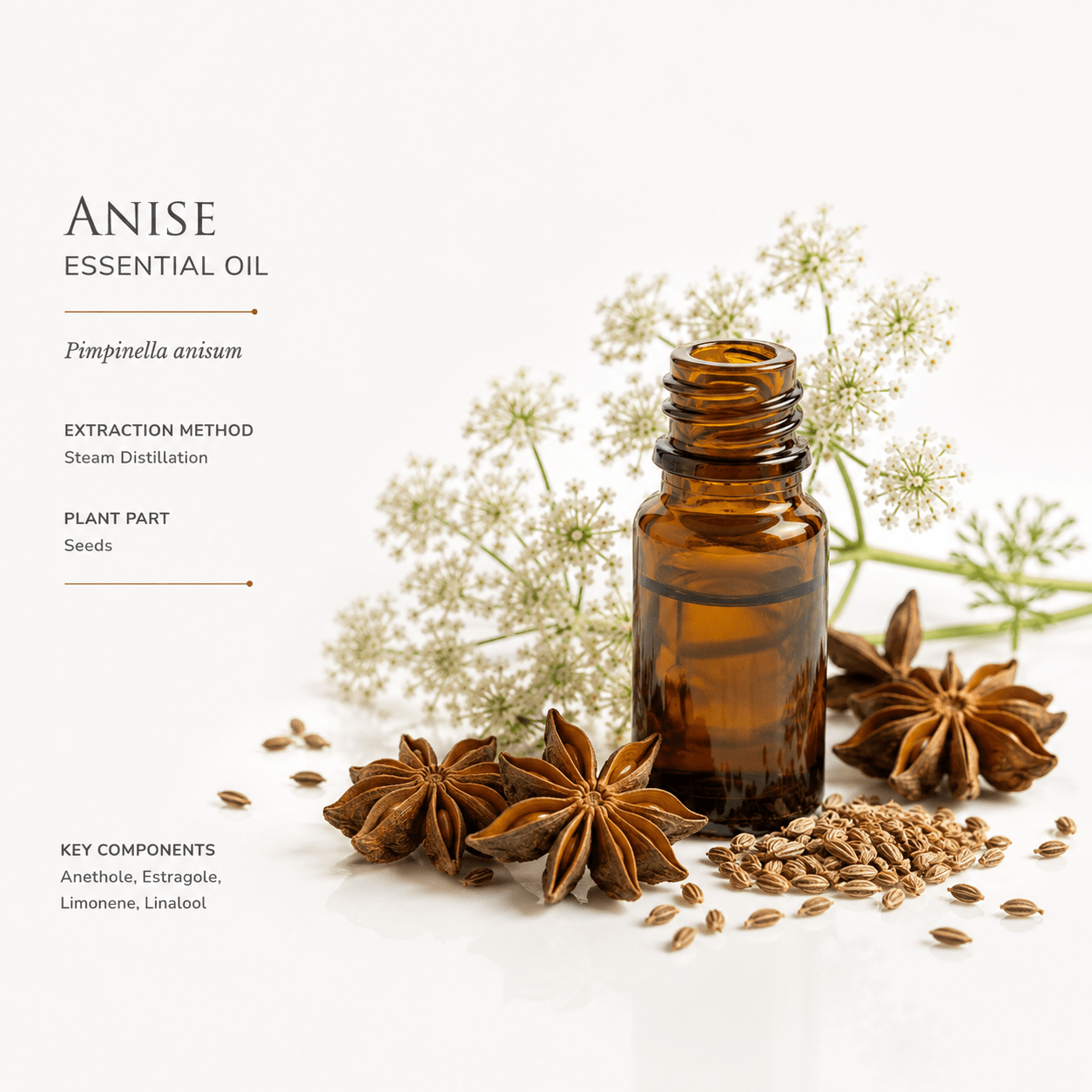 Αιθέριο έλαιο Γλυκάνισος (Aniseed), φαρμακευτικής & καλλυντικής χρήσης - Avgerinos Pharmacy
