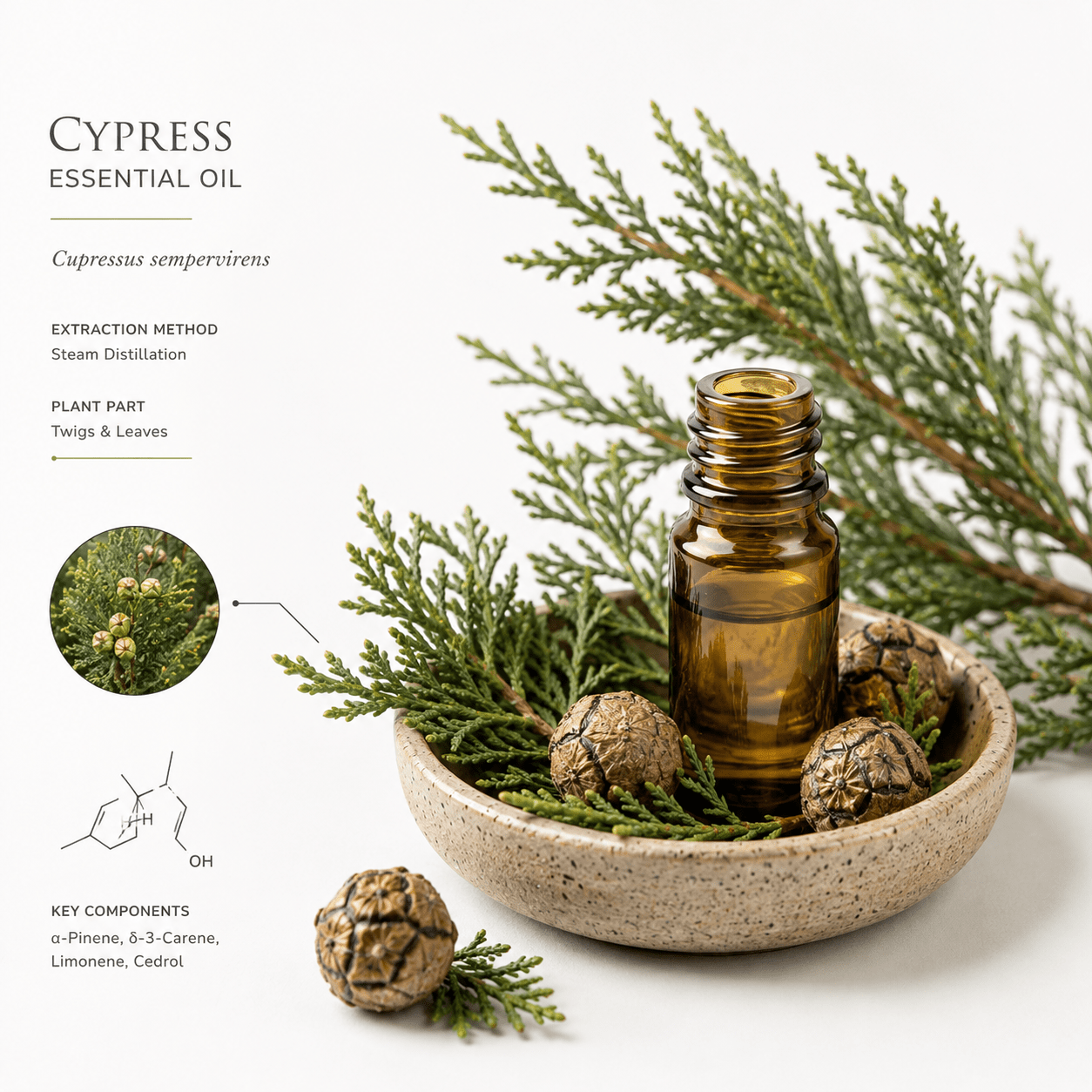 Αιθέριο έλαιο Κυπαρίσσι (Cypress), φαρμακευτικής & καλλυντικής χρήσης - Avgerinos Pharmacy