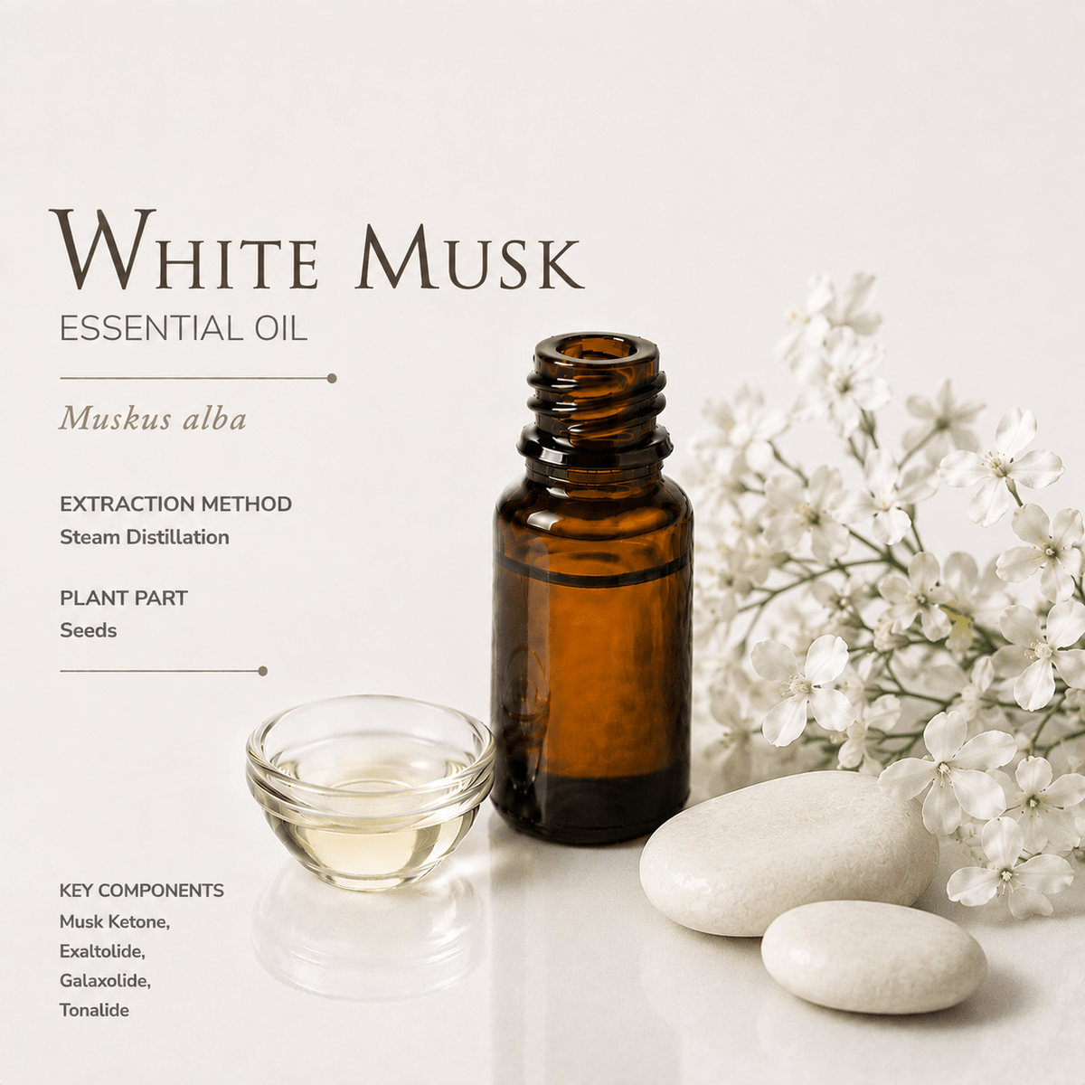 Αιθέριο Έλαιο Λευκού Μόσχου (White Musk), αρωματοθεραπείας & καλλυντικής χρήσης - Avgerinos Pharmacy