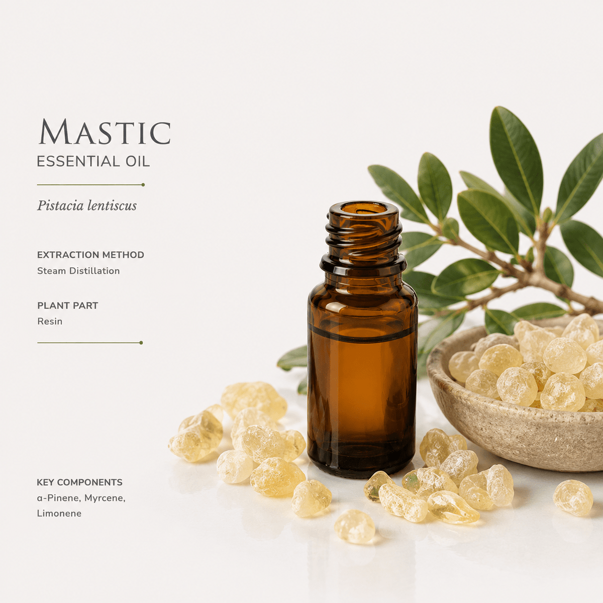 Αιθέριο έλαιο Μαστίχα (Mastic), φαρμακευτικής & καλλυντικής χρήσης - Avgerinos Pharmacy