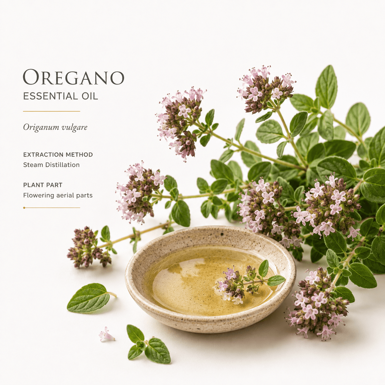 Αιθέριο έλαιο Ρίγανη (Oregano), φαρμακευτικής & καλλυντικής χρήσης - Avgerinos Pharmacy