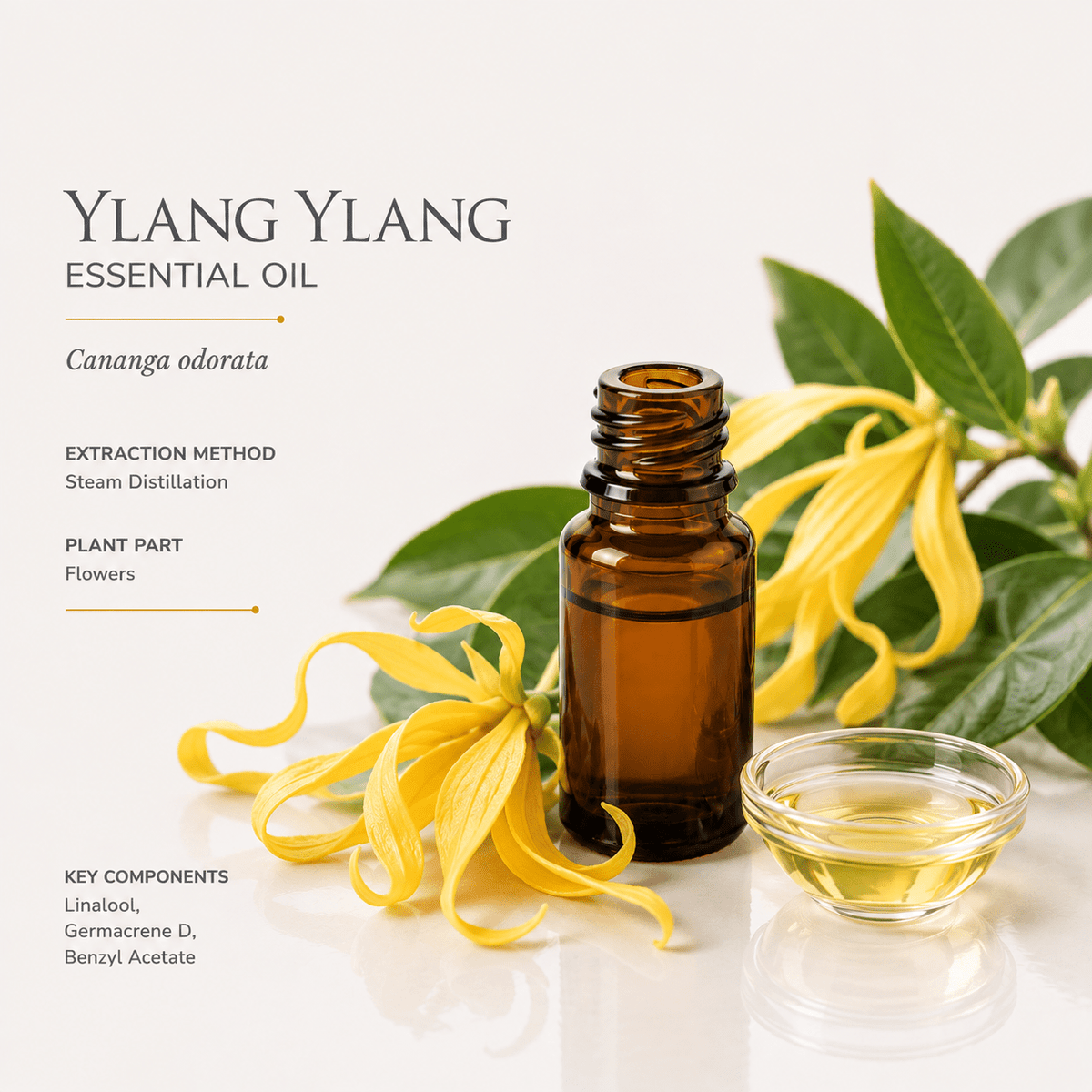Αιθέριο έλαιο Υλάνγκ (Ylang-Ylang), φαρμακευτικής & καλλυντικής χρήσης - Avgerinos Pharmacy